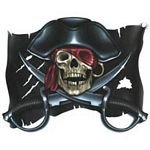 pic for Skull Pirate Flag Magnet